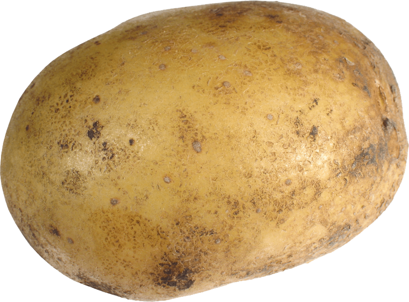 Potato 1